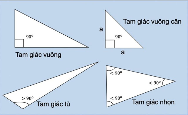Các loại hình tam giác